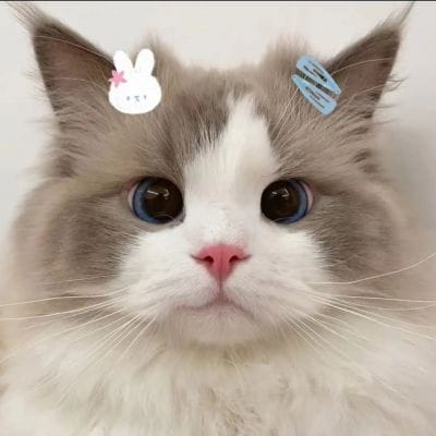 سعید اجمل avatar