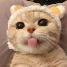 مارینا اقبال avatar